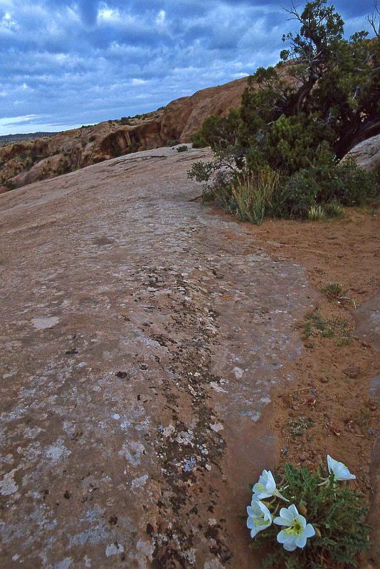 1996-04 Utah Trip 225 Delicate Arch Trail.jpg